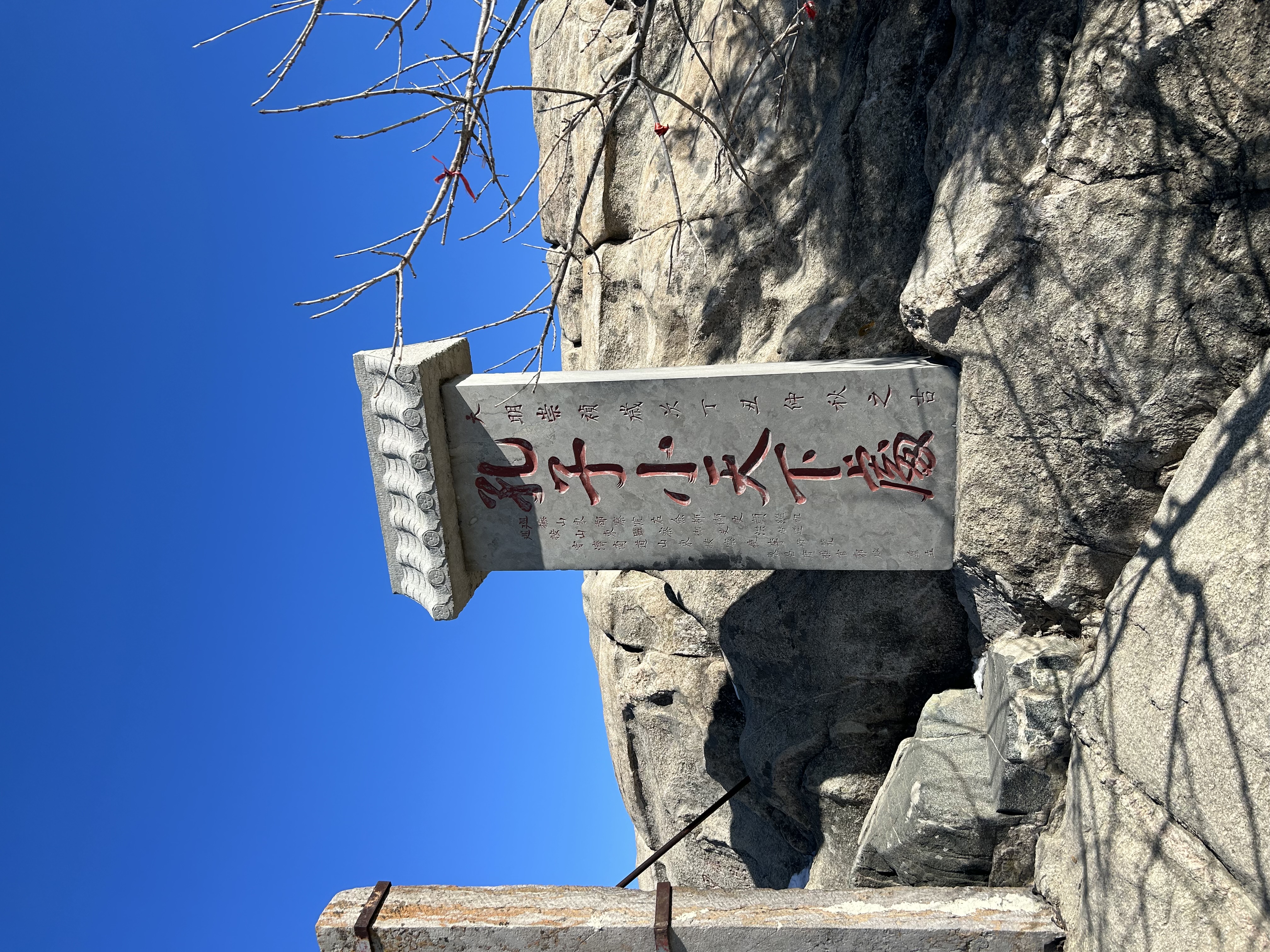 사진
